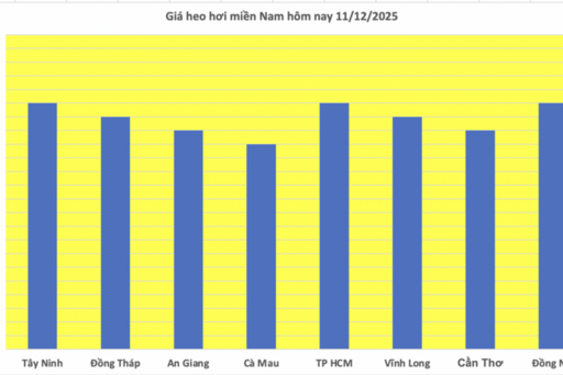 Giá heo hơi hôm nay 11/12/2025: Tăng trở lại