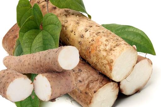 Giải độc gan với củ hoài sơn