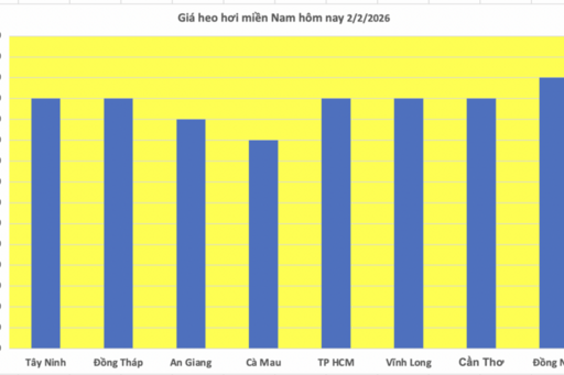 Giá heo hơi hôm nay 2/2/2026: Giảm diện rộng tại miền Bắc, miền Trung