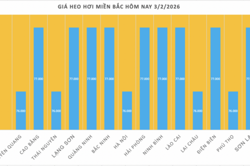 Giá heo hơi hôm nay 3/2/2026: Giảm mạnh trên cả nước