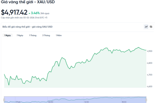 Giá vàng hôm nay 04/02/2026: Đảo chiều tăng, vượt mốc 4.900 USD