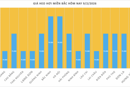 Giá heo hơi hôm nay 9/2/2026: Tiếp tục giảm nhiều nơi