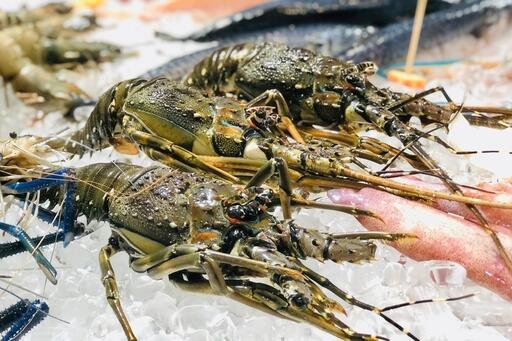 Doanh nghiệp cần làm gì để giữ lợi thế của ngành tôm tại EU?