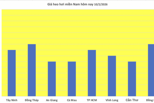 Giá heo hơi hôm nay 10/2/2026: Tiếp đà giảm diện rộng