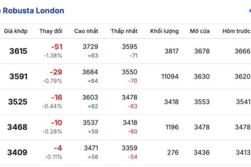Giá cà phê hôm nay 23/2/2026: Rớt giá mạnh, sụt giảm đến 4.000 đồng/kg