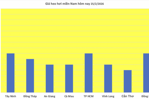 Giá heo hơi hôm nay 25/2/2026: Tiếp đà đi xuống