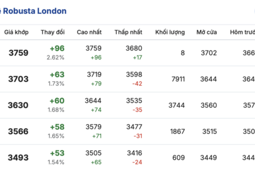 Giá cà phê hôm nay 26/2/2026: Bật tăng mạnh