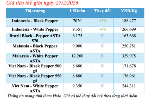 Giá tiêu hôm nay 27/2/2026: Đảo chiều tăng thêm