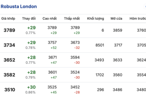 Giá cà phê hôm nay 5/3/2026: Đảo chiều giảm mạnh