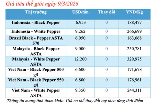Giá tiêu hôm nay 9/3/2026: Giữ đà bình ổn