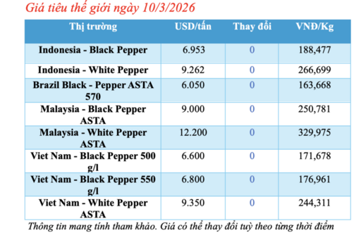 Giá tiêu hôm nay 10/3/2026: Cao nhất 165.000 đồng/kg
