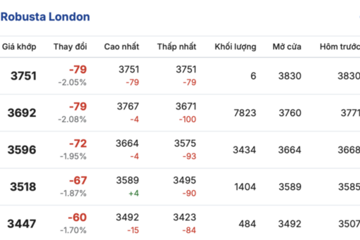 Giá cà phê hôm nay 11/3/2026: Giữ đà bình ổn
