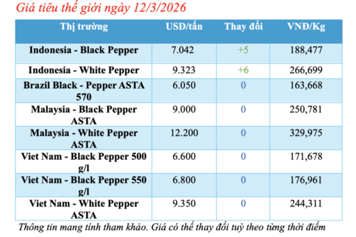 Giá tiêu hôm nay 12/3/2026: Giảm nhẹ vài nơi