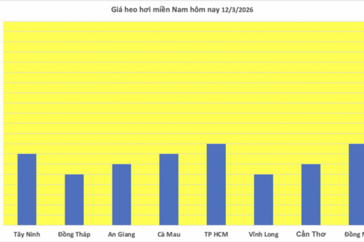 Giá heo hơi hôm nay 12/3/2026: Biến động trái chiều