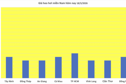 Giá heo hơi hôm nay 18/3/2026: Tăng diện rộng trên cả 3 miền
