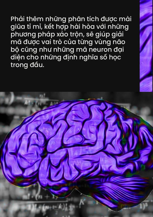 Não bộ là cỗ máy tính lượng tử tự tưởng tượng ra ảo giác về toán học - Ảnh 16.