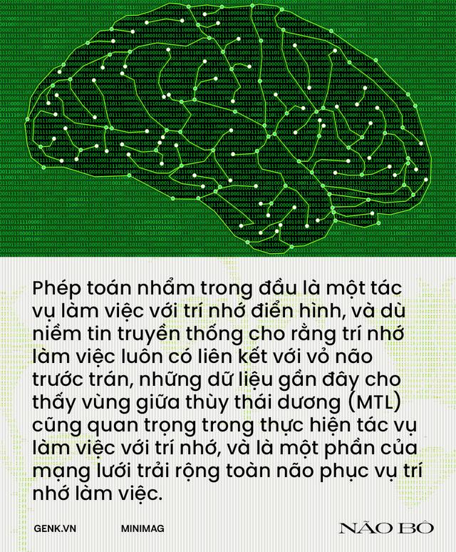 Não bộ là cỗ máy tính lượng tử tự tưởng tượng ra ảo giác về toán học - Ảnh 12.