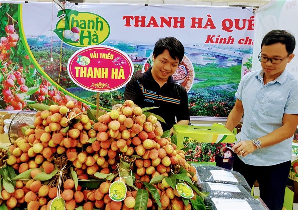 Vải thiều Thanh Hà là đặc sản quý. Ảnh: Vũ Long