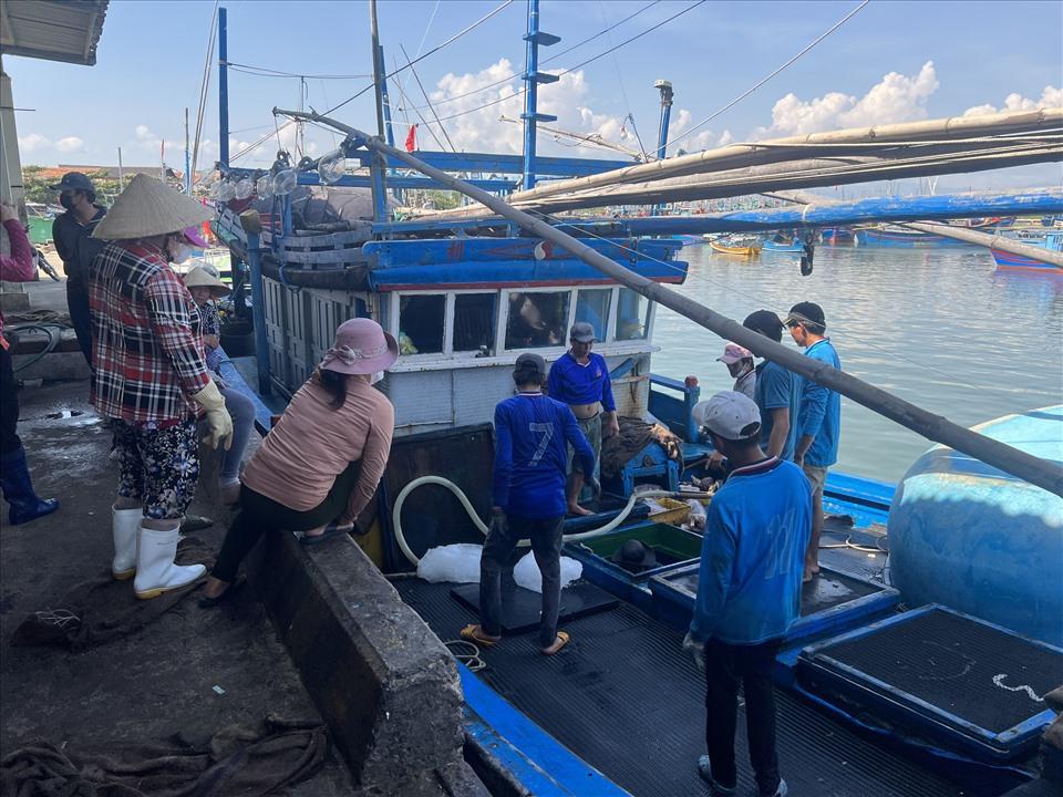 Các chủ tàu tất bật chuẩn bị cho chuyến ra khơi đánh bắt tiếp theo.