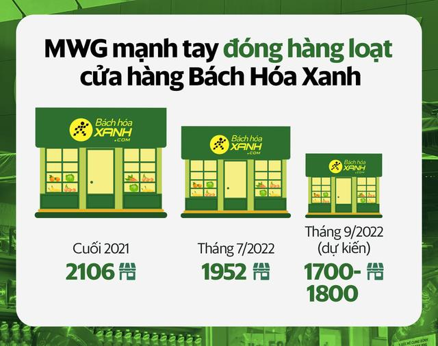 Bách Hóa Xanh kết thúc quá trình "thanh lọc": Đóng 380 chi nhánh, muốn thu 1,5-1,6 tỷ đồng/cửa hàng vào cuối năm - Ảnh 1.