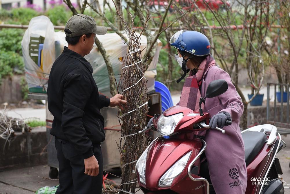 Hoa rừng xuống phố giá hàng triệu đồng cho người dân Thủ đô chơi Tết sớm - Ảnh 16.