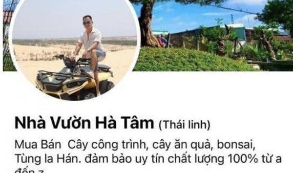 An ninh - Hình sự - Hà Tĩnh: Bắt đối tượng lừa bán cây cảnh