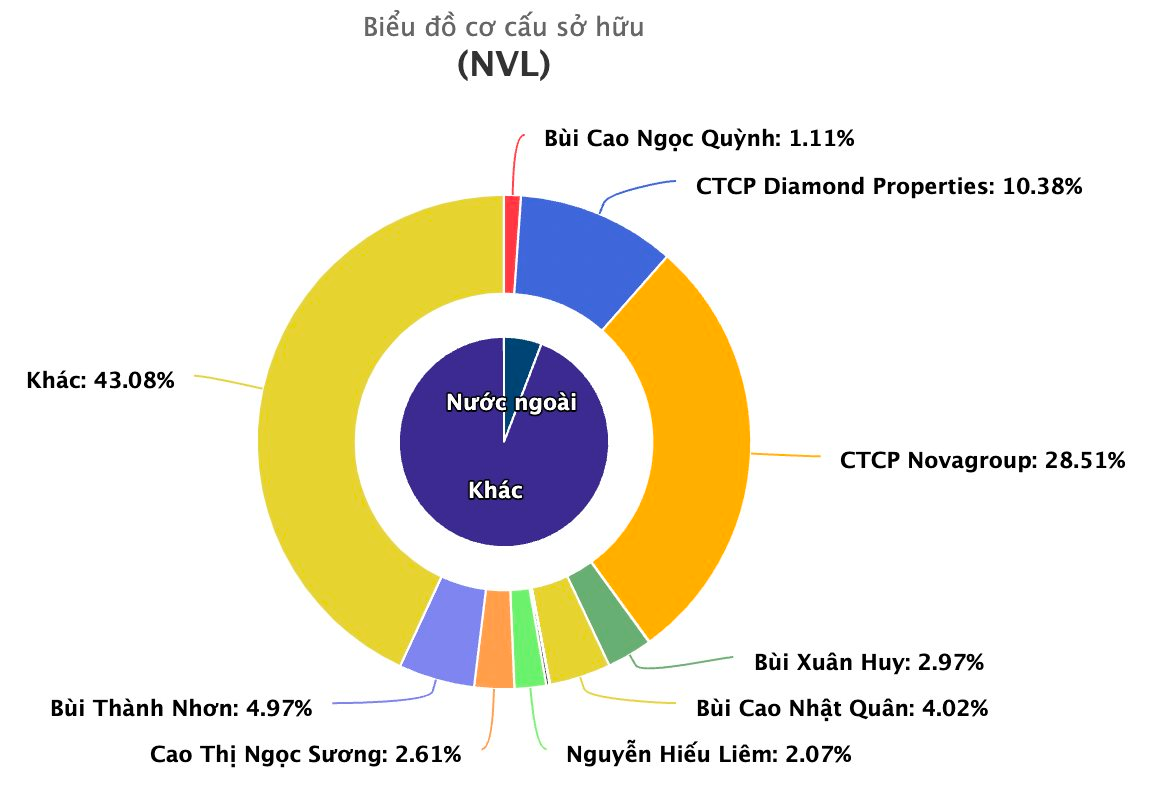 Novaland (NVL) vẫn chưa ngừng "biến động" - Ảnh 3.