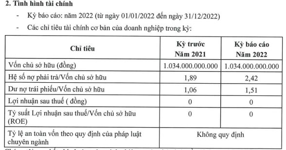 Chủ đầu tư dự án điện gió Hòa Thắng 1.2 liên tiếp báo lợi nhuận 0 đồng - Ảnh 2.