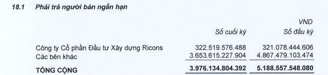 Giữa lúc "nước sôi lửa bỏng", Coteccons đang nợ Ricons bao nhiêu mà bị đệ đơn yêu cầu mở thủ tục phá sản? - Ảnh 3.
