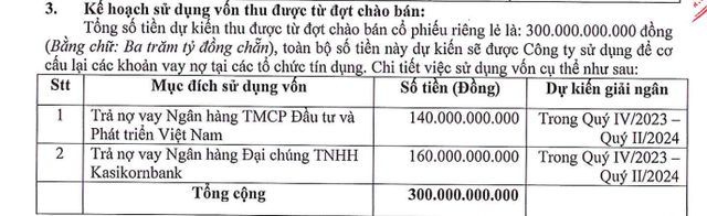 Doanh nghiệp nhựa hơn 60 năm tuổi muốn phát hành 30 triệu cổ phiếu riêng lẻ để tăng vốn trả nợ ngân hàng - Ảnh 2.