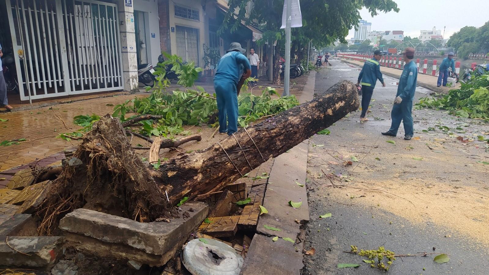 Mưa to kèm giông lốc khiến cây xanh ở Cần Thơ bật gốc, đổ ngã vào năm 2020. Ảnh: Thành Nhân