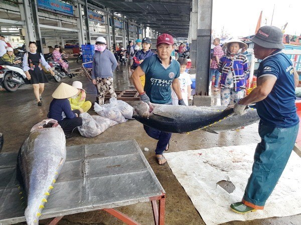 Làm rõ mô hình tổ chức hoạt động của Nghiệp đoàn Nghề cá