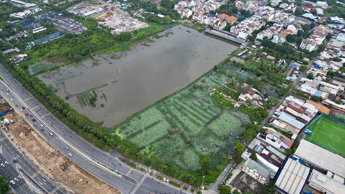 ên trong khu vực này là khu đất trống rộng với vùng đầm lầy, cỏ dại mọc um tùm.