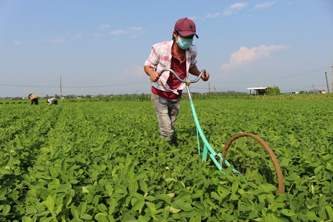 Đa dạng hóa sinh kế, phát triển mô hình giảm nghèo