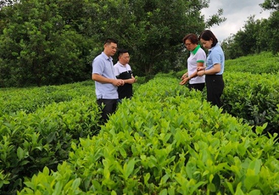 Hợp tác xã làm giàu nhờ ứng dụng công nghệ vào sản xuất