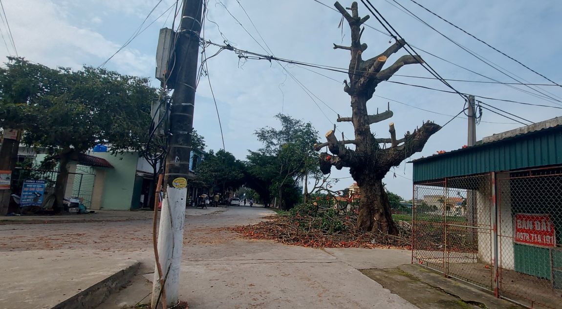 Lực lượng chức năng đang xác minh, làm rõ thông tin sự việc để xử lý các đối tượng có liên quan. Ảnh: Nam Hồng