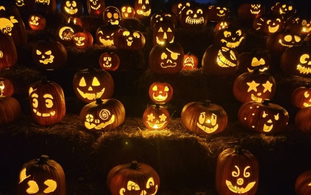 Đèn lồng bí ngô Halloween xuất phát từ truyền thuyết của Ireland. Ảnh: Jack O' Lantern World