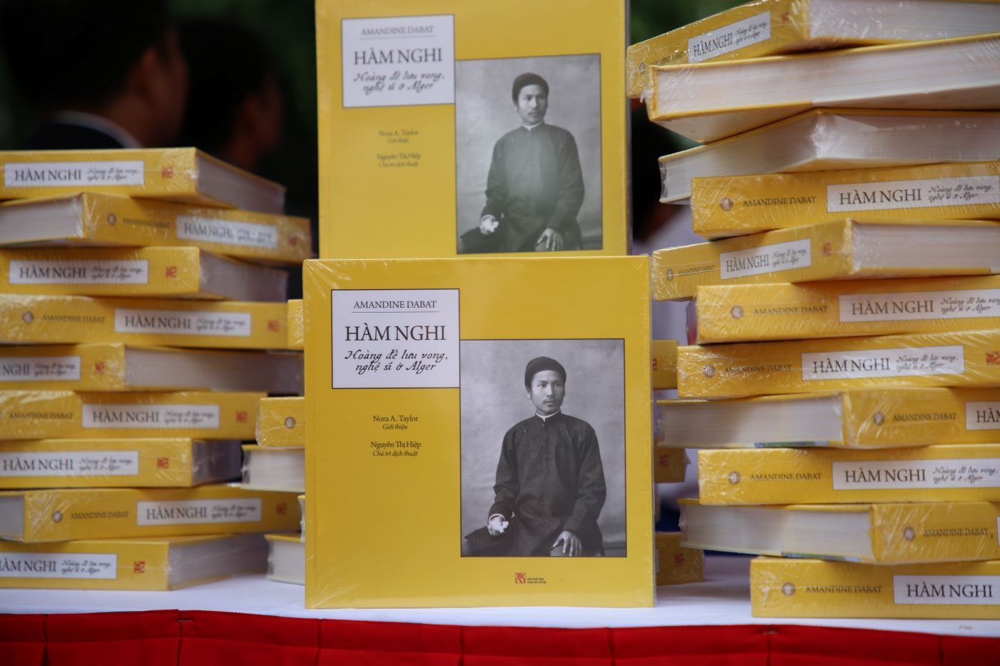 Sách “Hàm Nghi: Hoàng đế lưu vong - nghệ sỹ ở Alger”. Ảnh: Hưng Thơ.