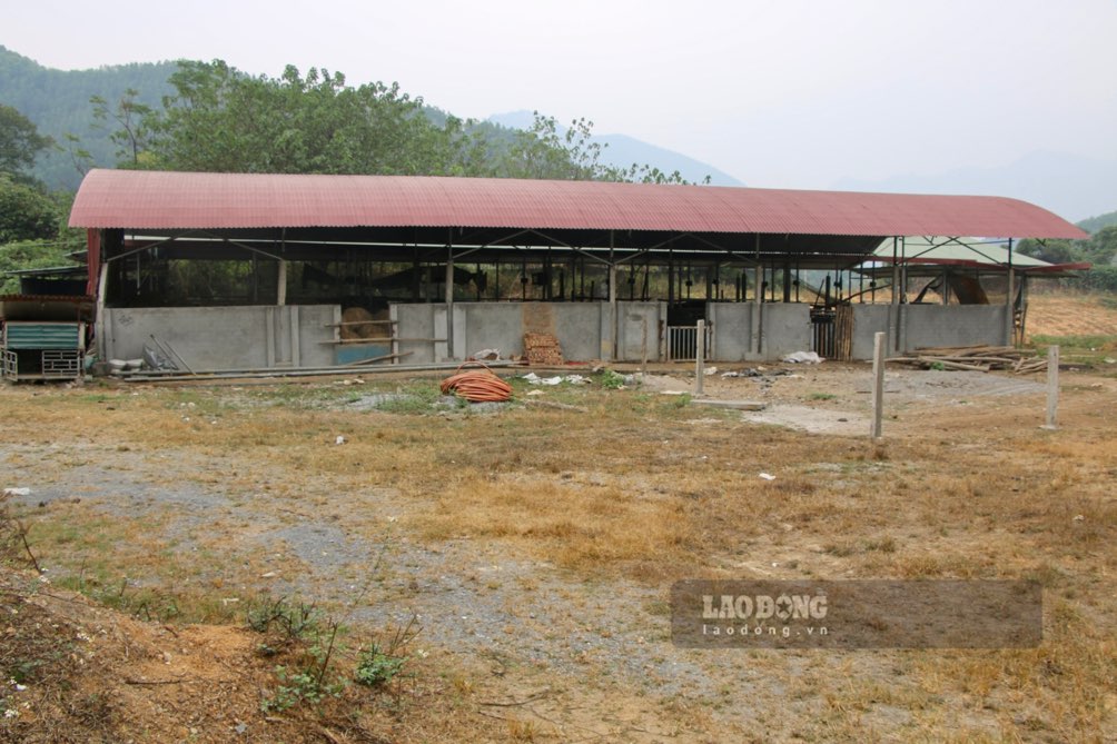 Bà N.T.K (huyện Chợ Mới) cho biết, khi có thông tin chủ trương dự án, người dân nơi đây rất mong chờ và kỳ vọng vì lúc đó, đây là dự án nông nghiệp có quy mô lớn, tiên phong đi đầu tại địa phương.