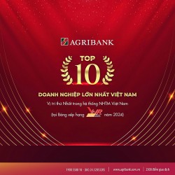 Agribank đạt Top 10 Doanh nghiệp lớn nhất Việt Nam năm 2024