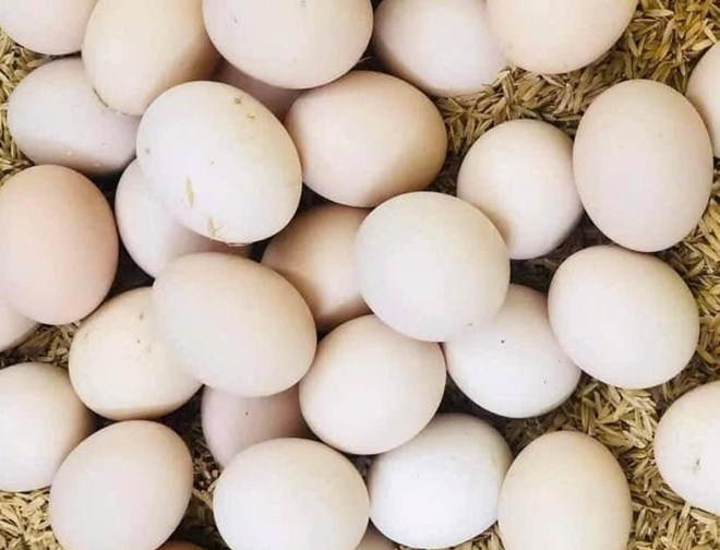 Cách ăn trứng vào bữa sáng để kiểm soát đường huyết