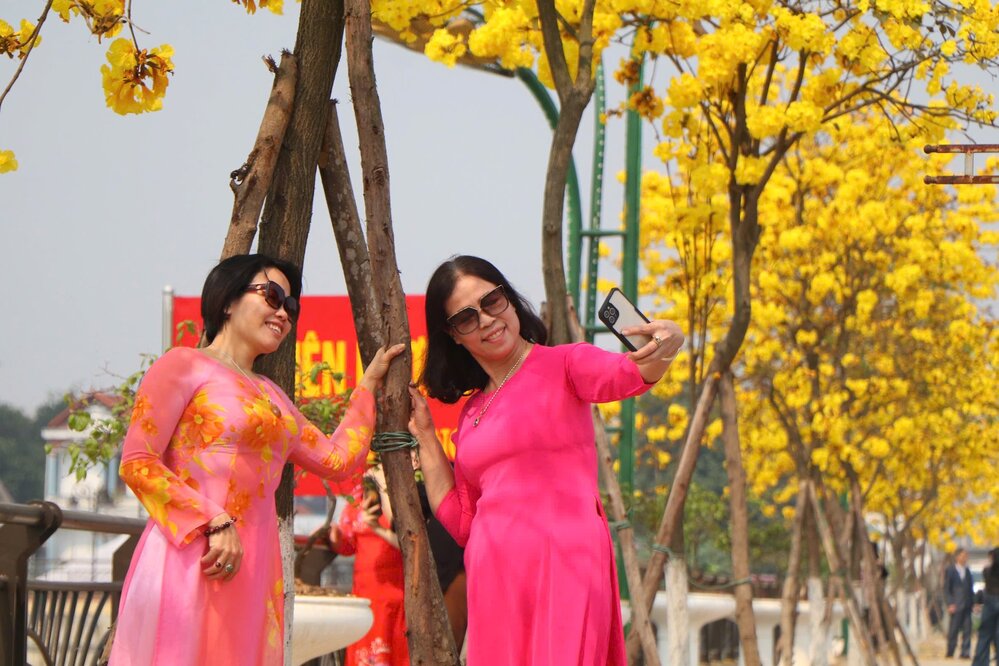 Cuối tuần, có nhiều người đến hồ Thiên Hương để chụp ảnh hoa phong linh. Ảnh: Tô Công.