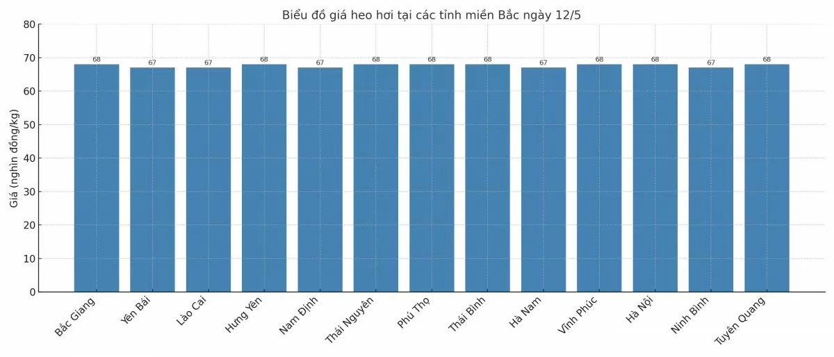 Biểu đồ giá heo hơi tại các tỉnh miền Bắc ngày 12/5.