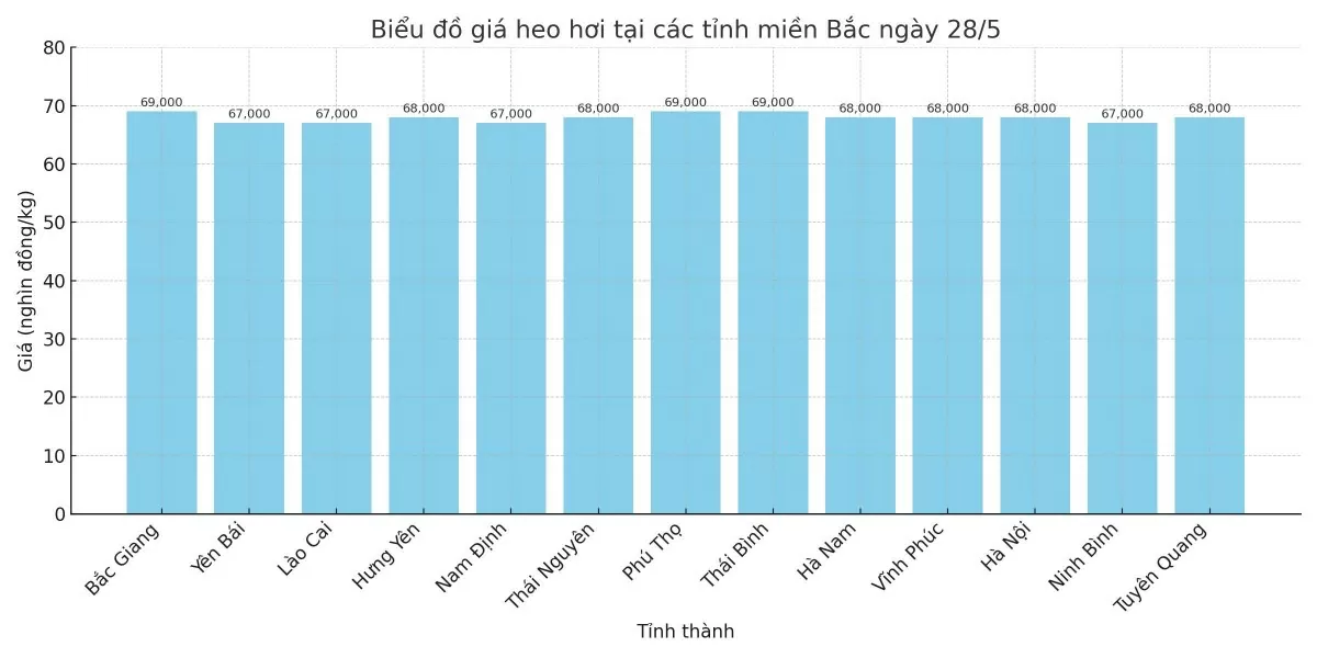 Biểu đồ giá heo hơi tại các tỉnh miền Bắc ngày 28/5.