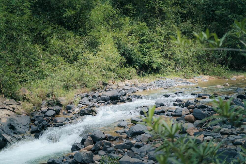 Cách thành phố Bảo Lộc 18km về phía Đông Bắc, thác Đambri là một trong những địa điểm đẹp nhưng ít du khách biết đến tại Lâm Đồng. Không chỉ khách du lịch, những trekker yêu thiên nhiên, mạo hiểm cũng rất thích chinh phục Đambri vi khung cảnh thơ mộng, hùng vĩ, hoang sơ.