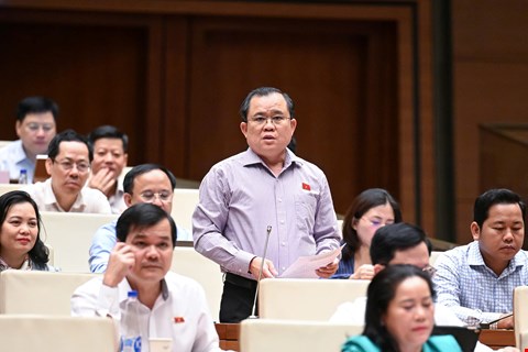 Đại biểu Nguyễn Tâm Hùng đề nghị quy định rõ vai trò của UBND cấp xã trong tổ chức thực hiện quy hoạch. Ảnh: Quochoi