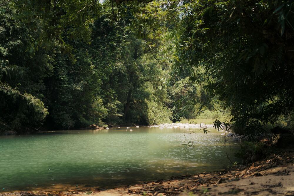 Nữ trekker tự nhận mình khá may mắn khi kịp chiêm ngưỡng vẻ đẹp của Đambri trước khi mùa mưa đến. Khi bước vào thời điểm mưa nhiều, nước đục, cảnh vật không còn đẹp và an toàn cho khách du lịch nên các tour trekking sẽ bị tạm dừng.