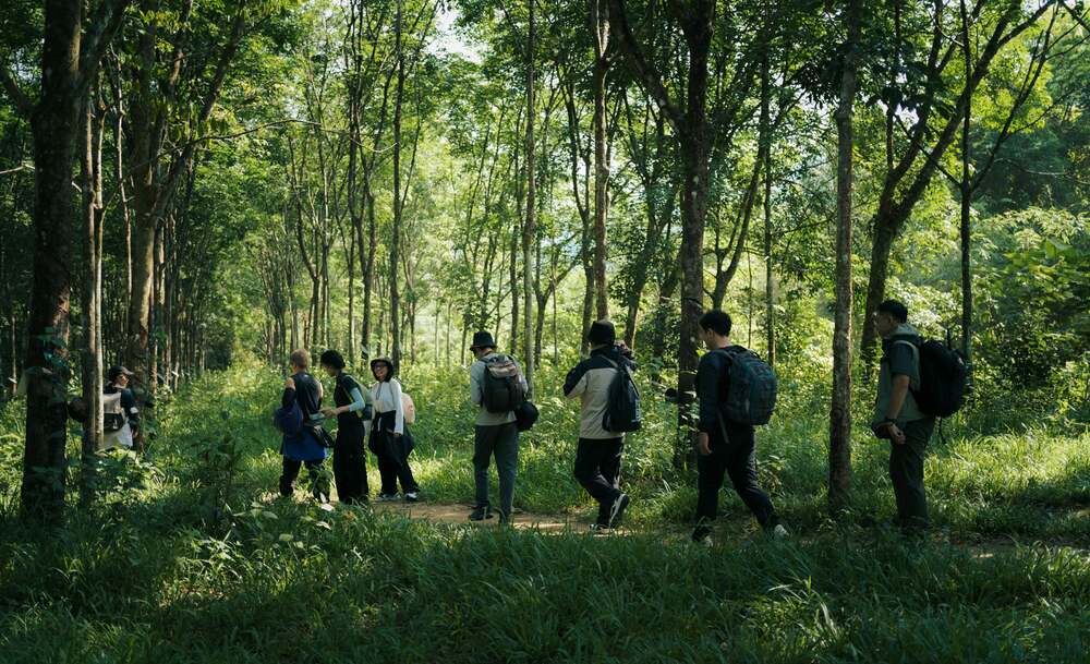 Đường chinh phục Đambri khá dễ dàng vì địa hình thoải, không có bậc thang hay dốc cao. Ngoài ra, vì trekking trong rừng, gần thác nước nên không khí trong lành, mát mẻ, dễ chịu.