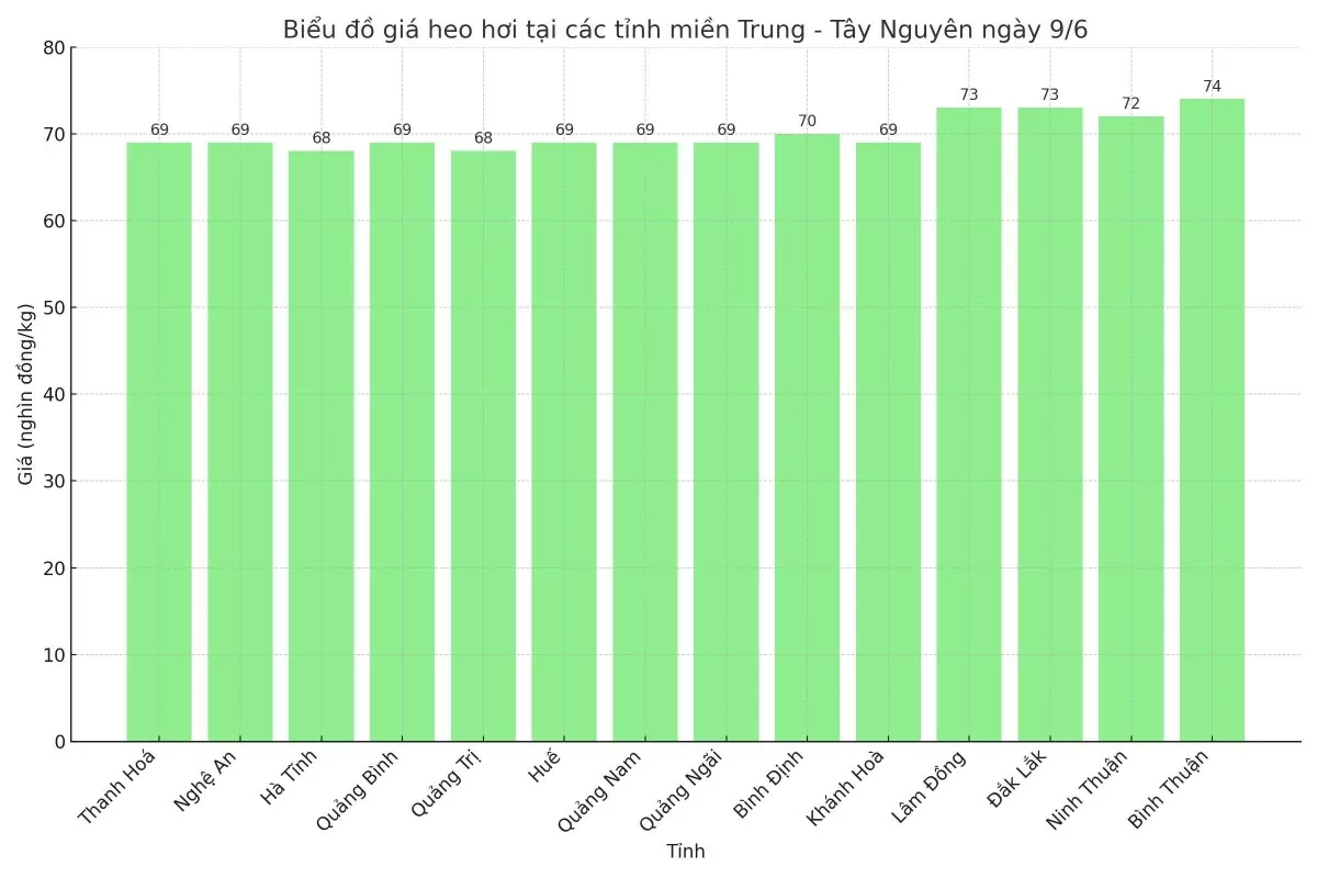 Biểu đồ giá heo hơi tại các tỉnh miền Trung - Tây Nguyên ngày 9/6. Biểu đồ giá heo hơi tại các tỉnh miền Trung - Tây Nguyên ngày 9/6.