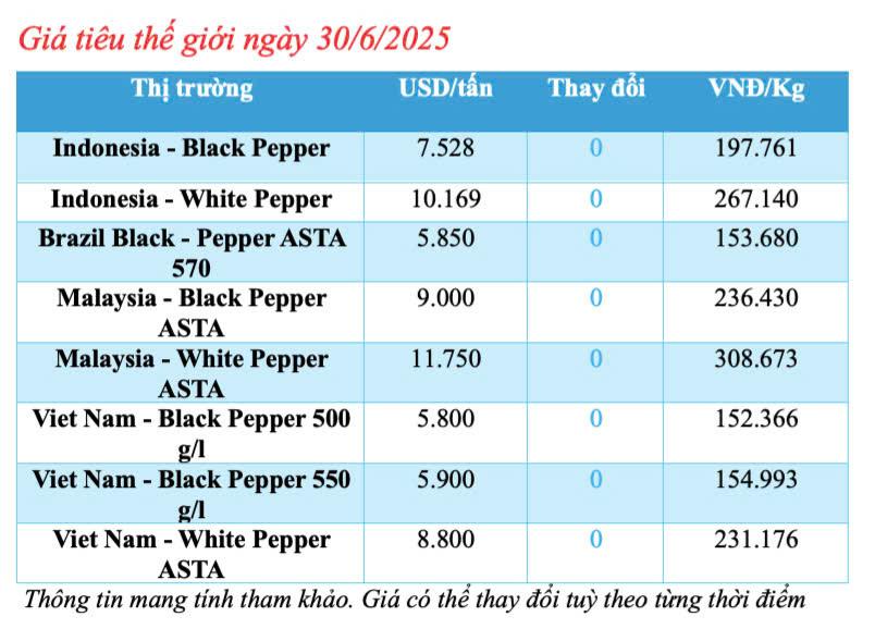 Cập nhật giá tiêu thế giới sáng ngày 30/6/2025